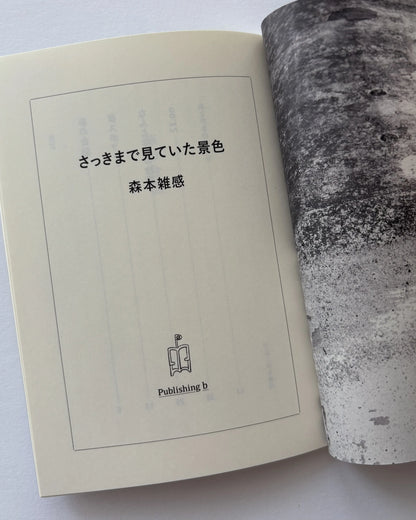 [Publishing b] さっきまで見ていた景色 / 森本雑感